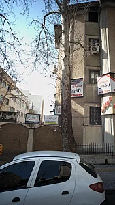 دکتر سارا هاشم گلوگردی