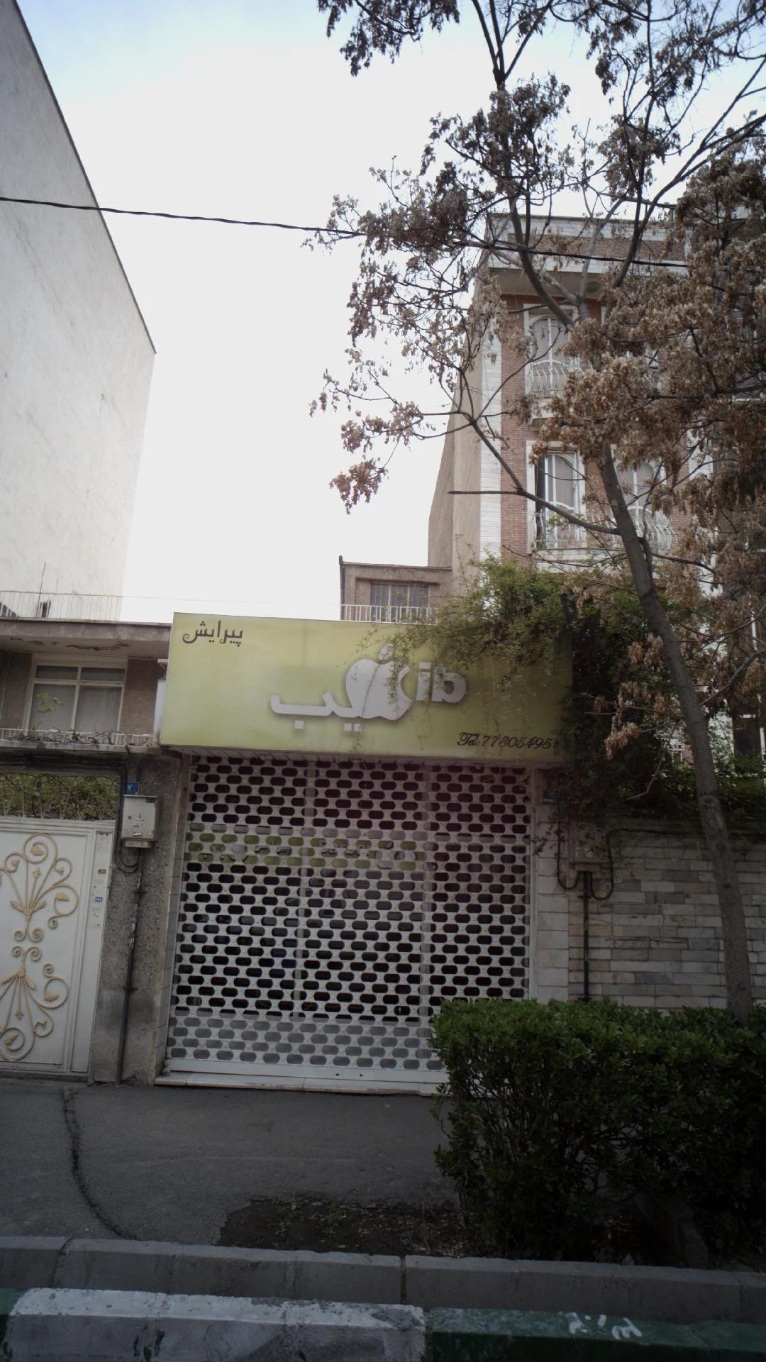 پیرایش سیب