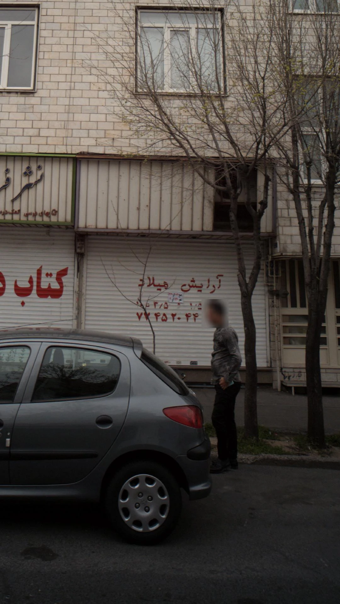پیرایش سیب - تصویر 2
