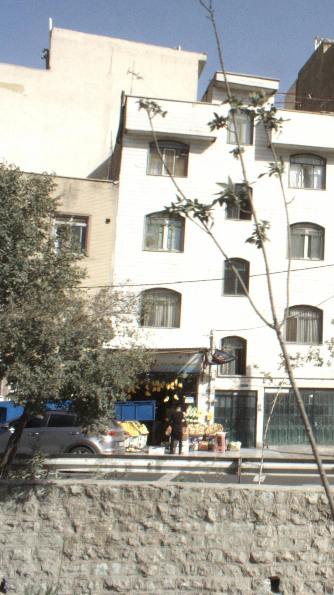 تره بار جاجرود - تصویر 2