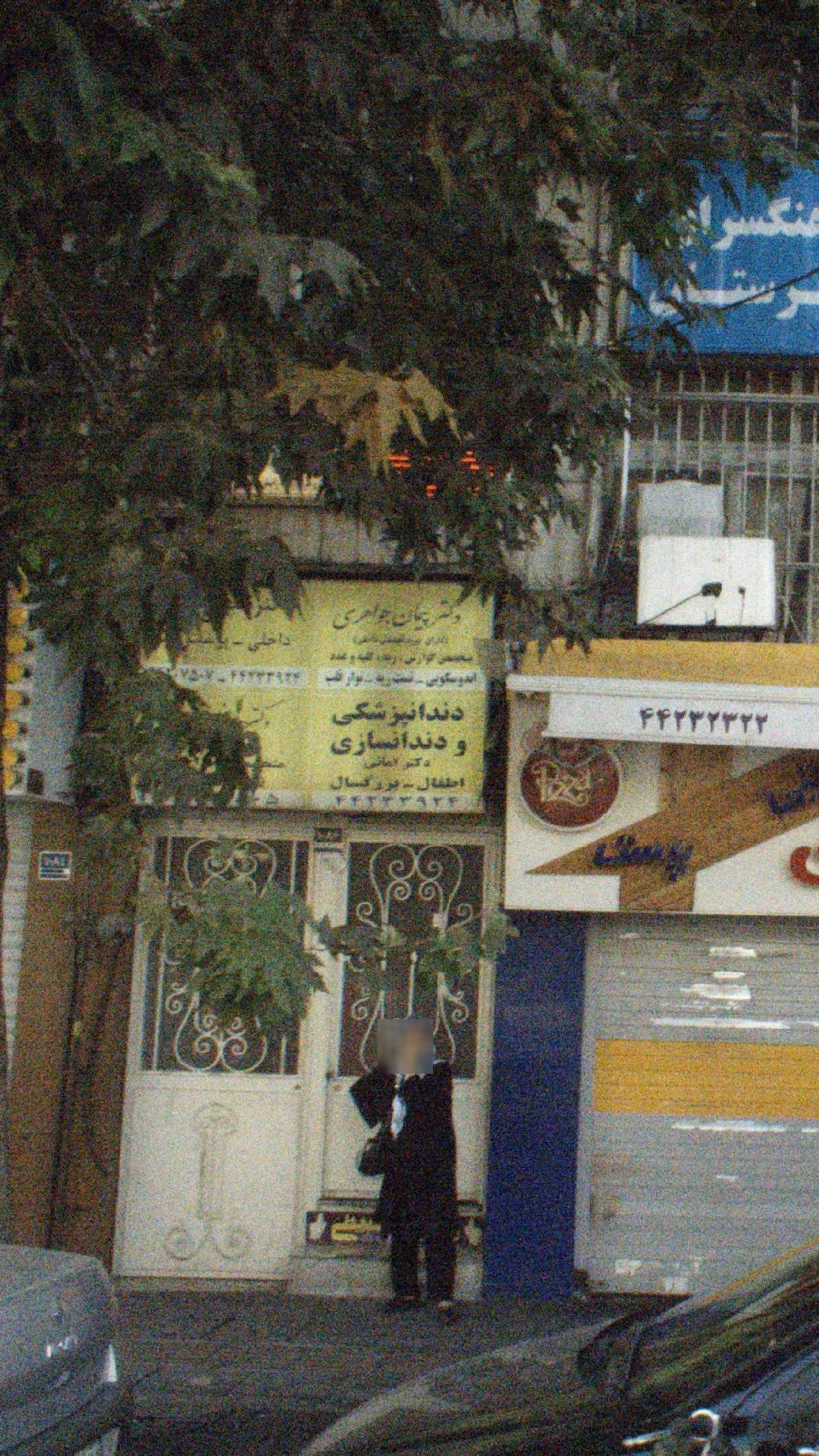 دکتر شبنم شایان - تصویر 2