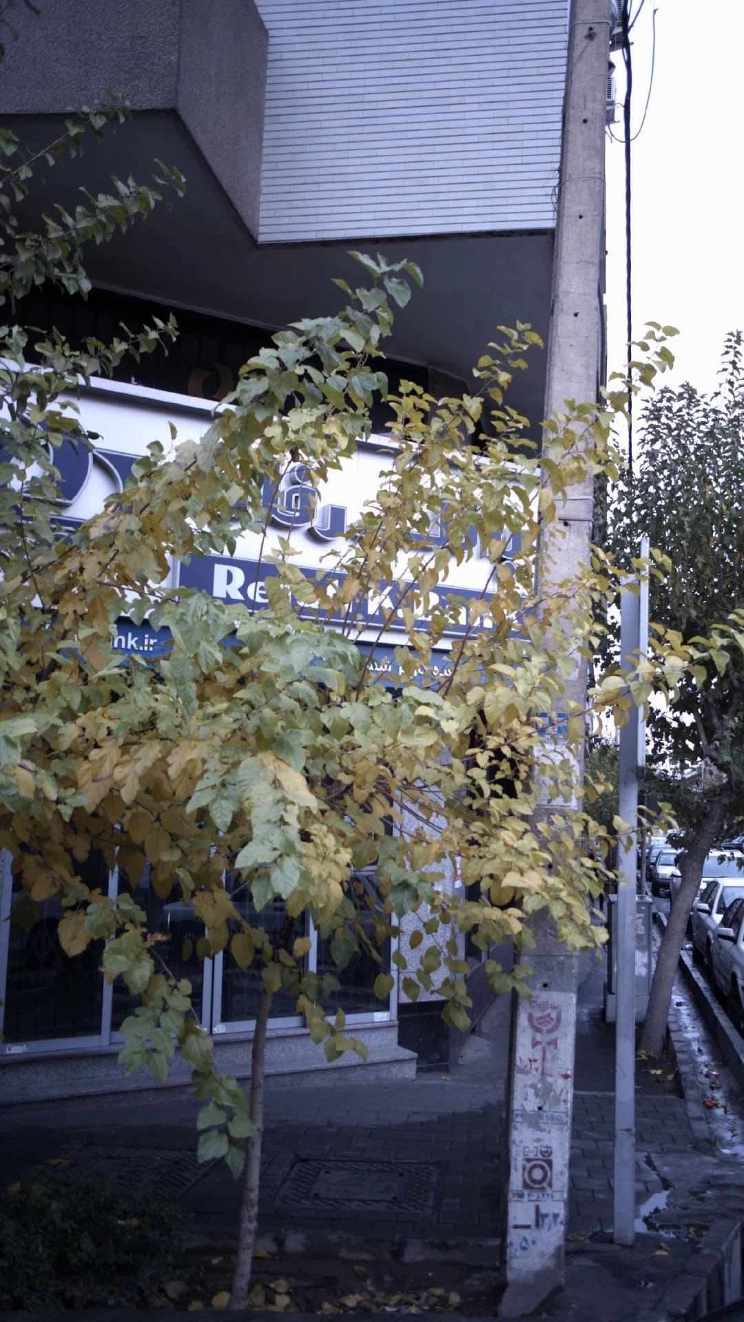 بانک تجارت شعبه آل احمد - تصویر 4