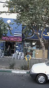 محمدرضا بدریان