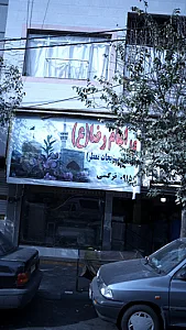 سبزی خرد کنی تک