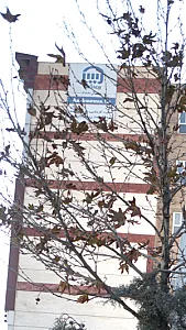 بیمه ایران
