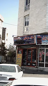 خانه دزدگیر
