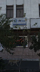 بیمه ایران نمایندگی نوری
