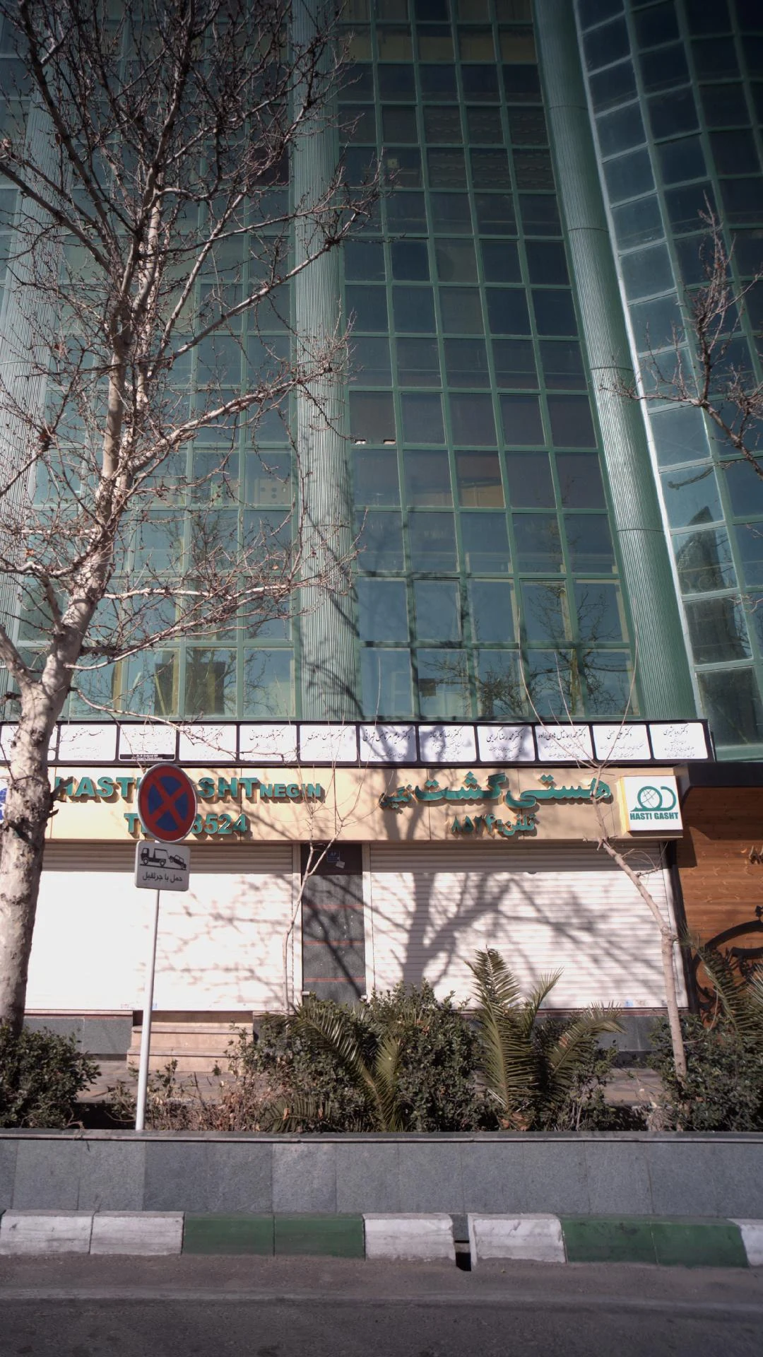 دکتر کامران بدیه زاده - تصویر 4