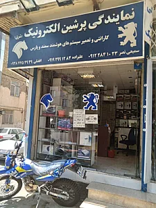 نمایندگی پرشین الکترونیک