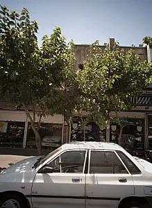 نمایندگی ایساکو کلانتری