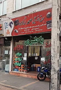 برق اتومبیل صمدزاده