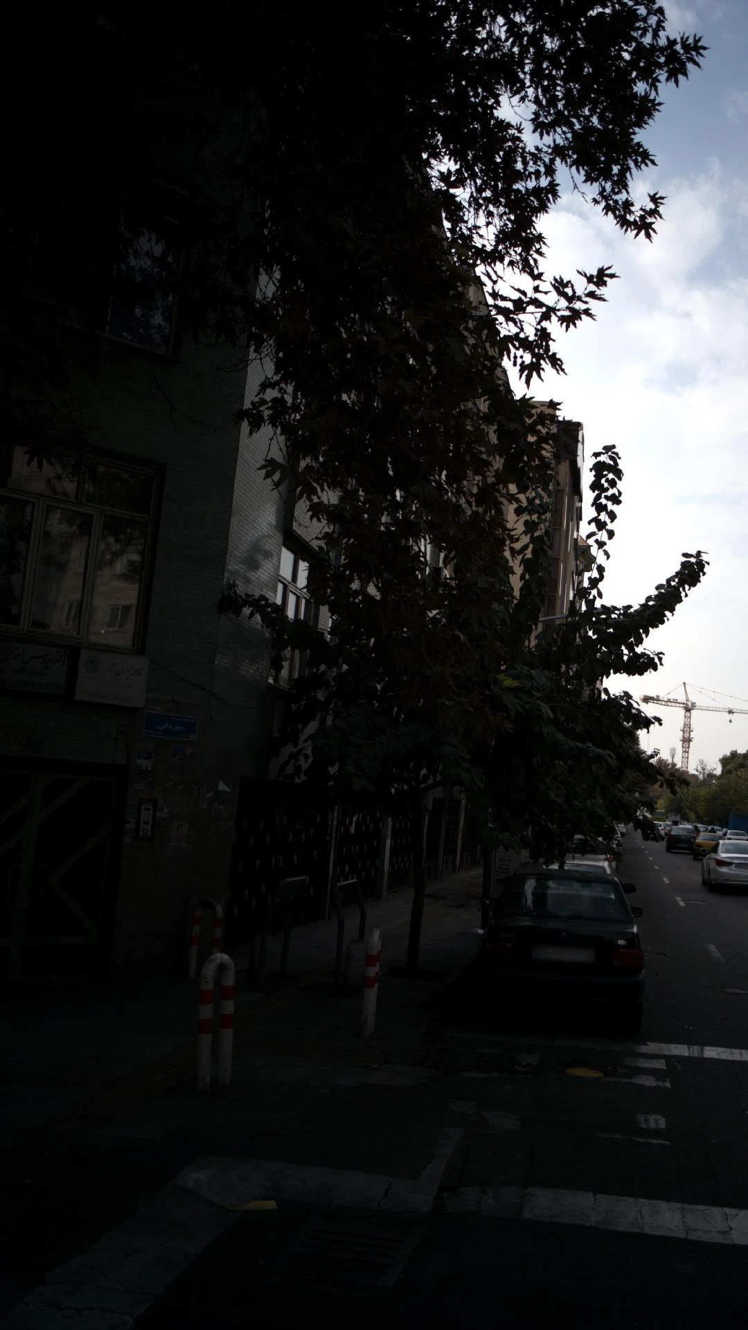 دکترشهریارشهریاریان