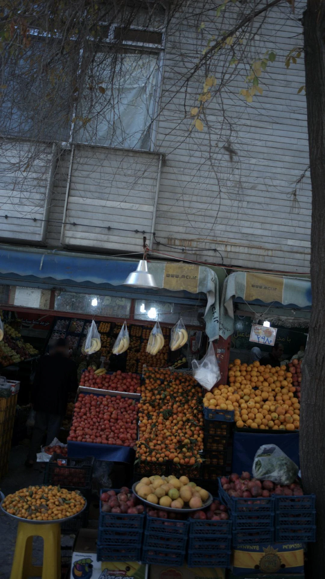 میوه و تره بار کوروش