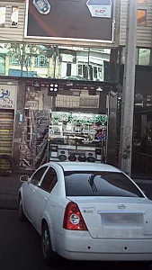 باطری دزدگیر