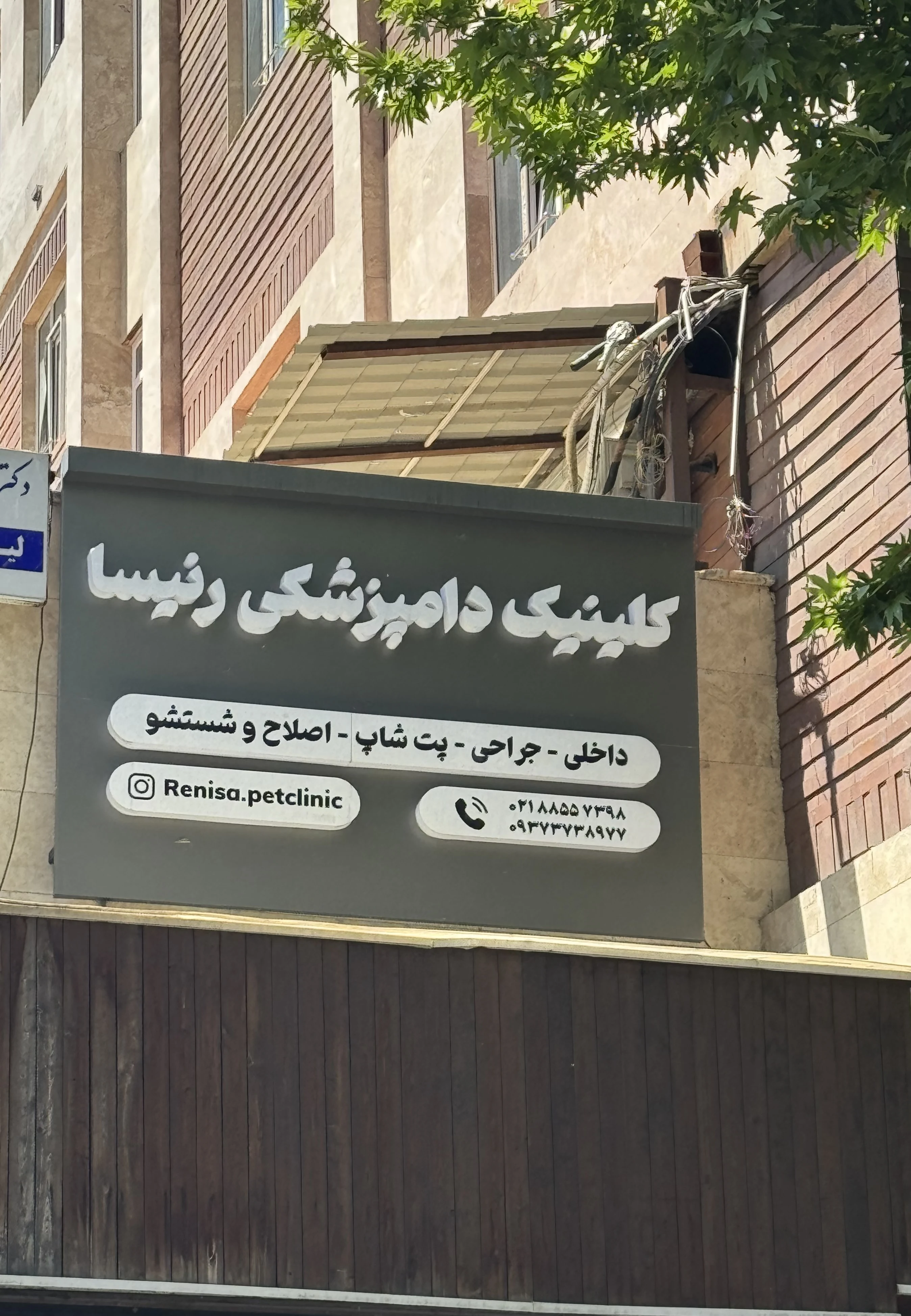 کلینیک دامپزشکی،پت شاپ و گرومینگ رنیسا - تصویر 3