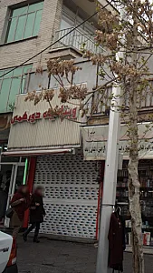 ویتامینه دور همی