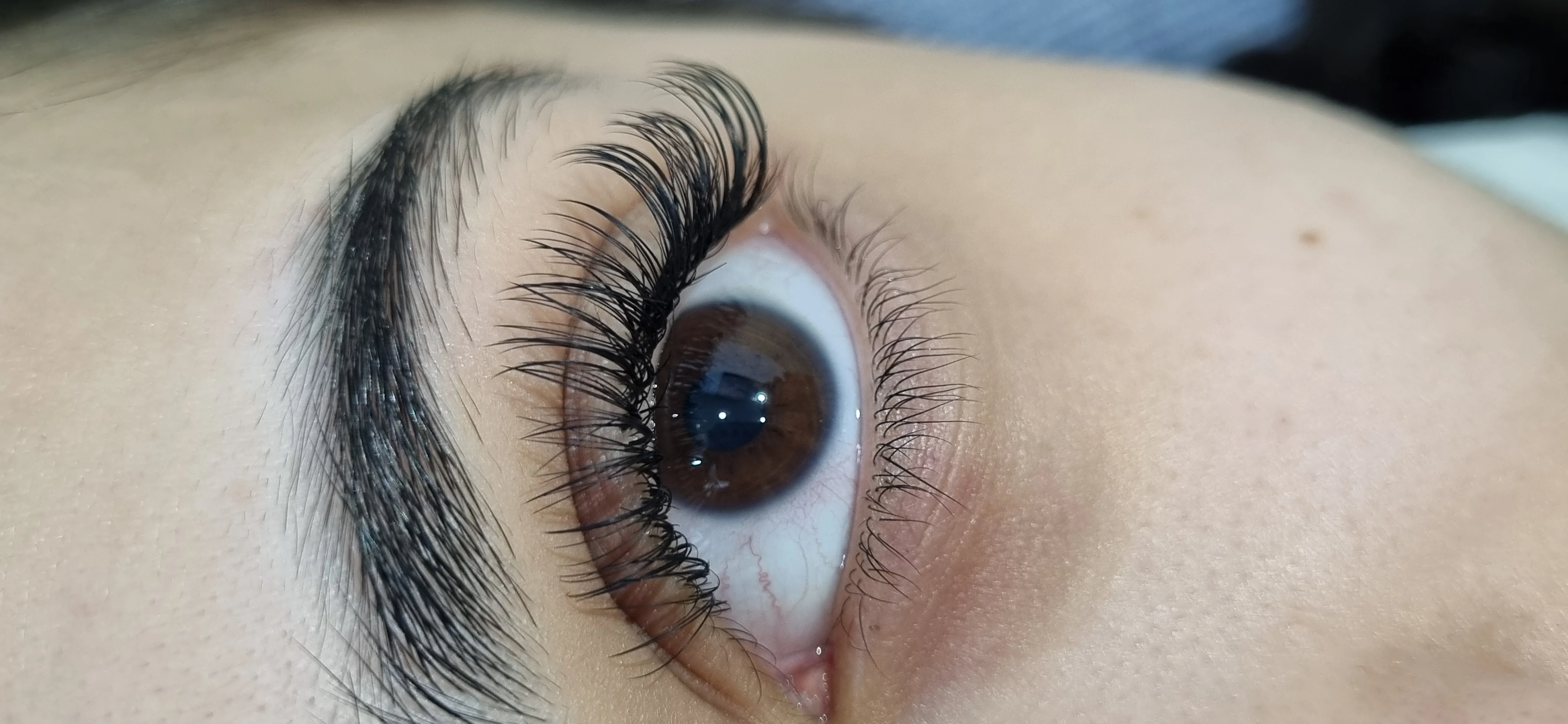 خدمات تخصصی اکستنشن مژه زر - تصویر 2