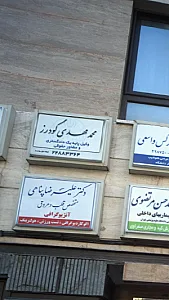 محمد مهدی گودرز