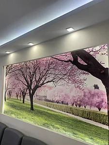 تاسیسات حرفه ای ساختمان
