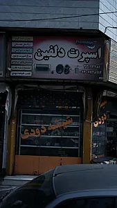 اسپرت دلفین