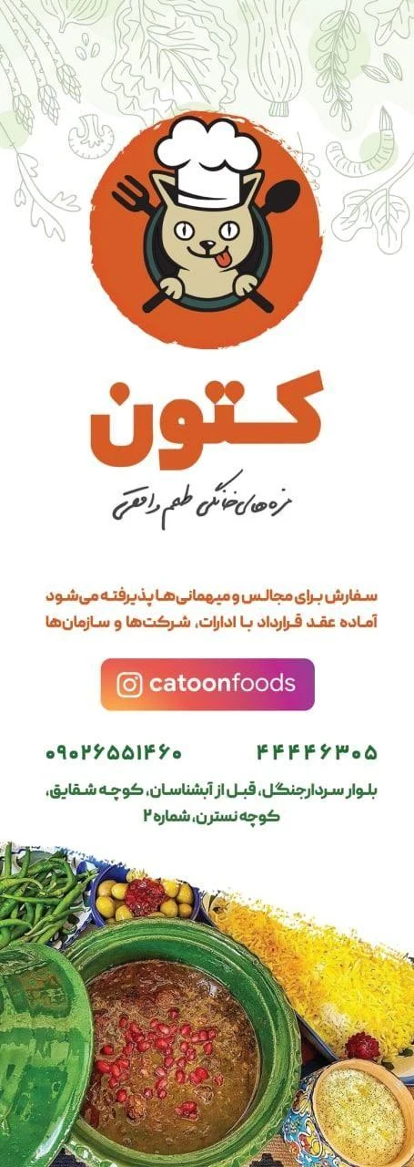 کتون، غذاهای خانگی