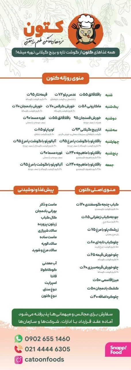 کتون، غذاهای خانگی - تصویر 2