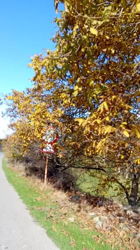 سالن زیبایی آیسو