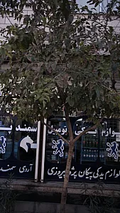 لوازم یدکی اتومبیل