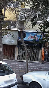 عکاسی رخسار