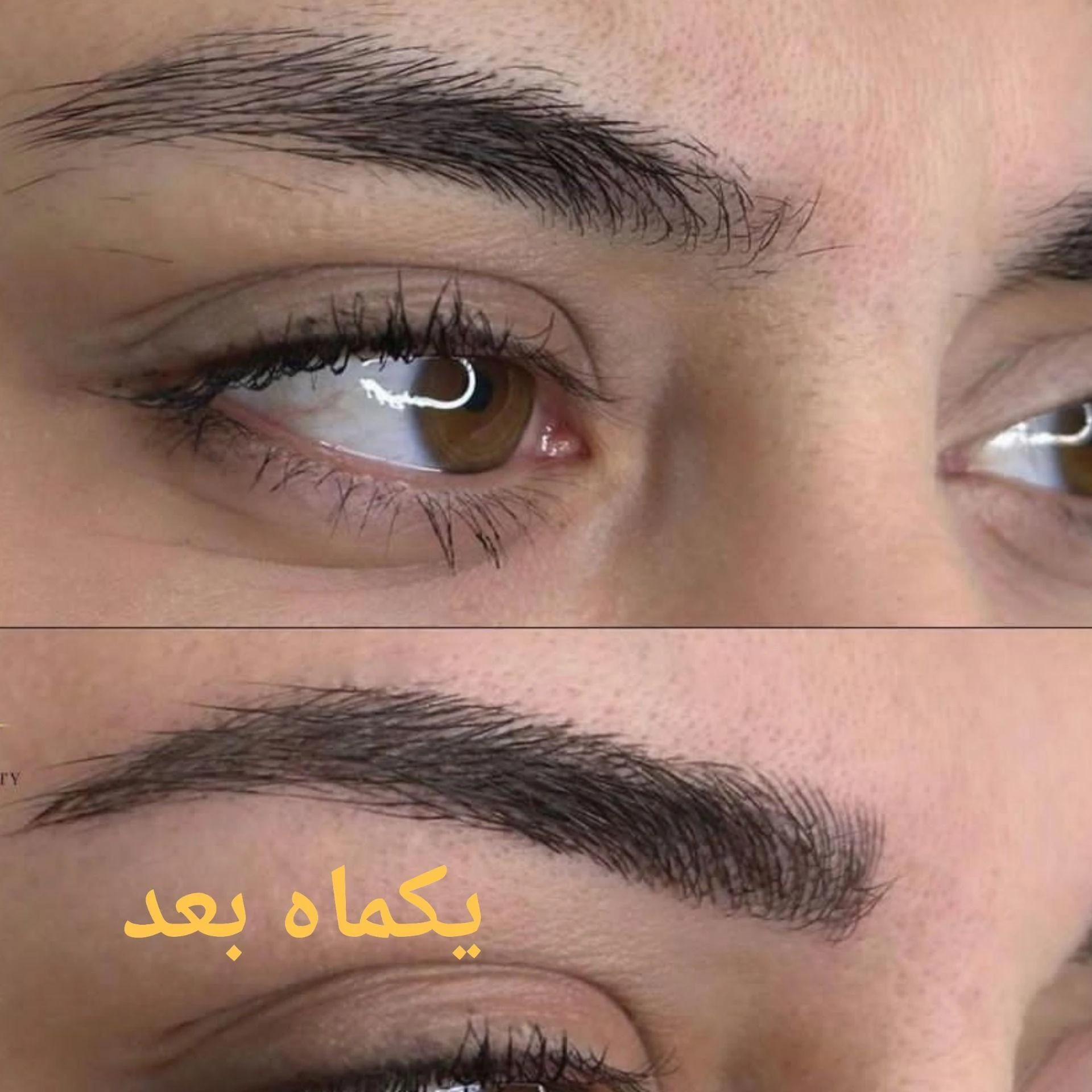 خدمات تخصصی آرایش دائم مرسده