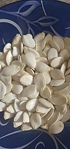 مواد غذایی بعثت