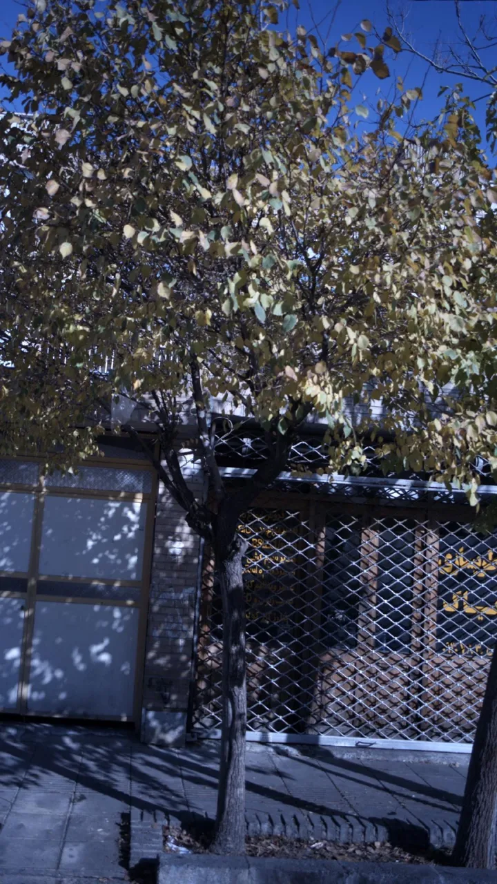 باطریسازی دیاگ