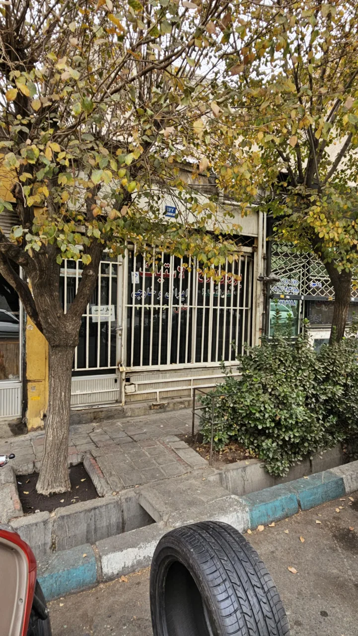بورس انواع لاستیک