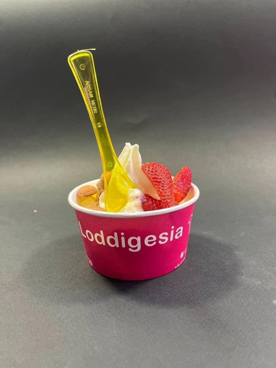 Loddigesia لادیگیزیا باشگاه اتقلاب - تصویر 2
