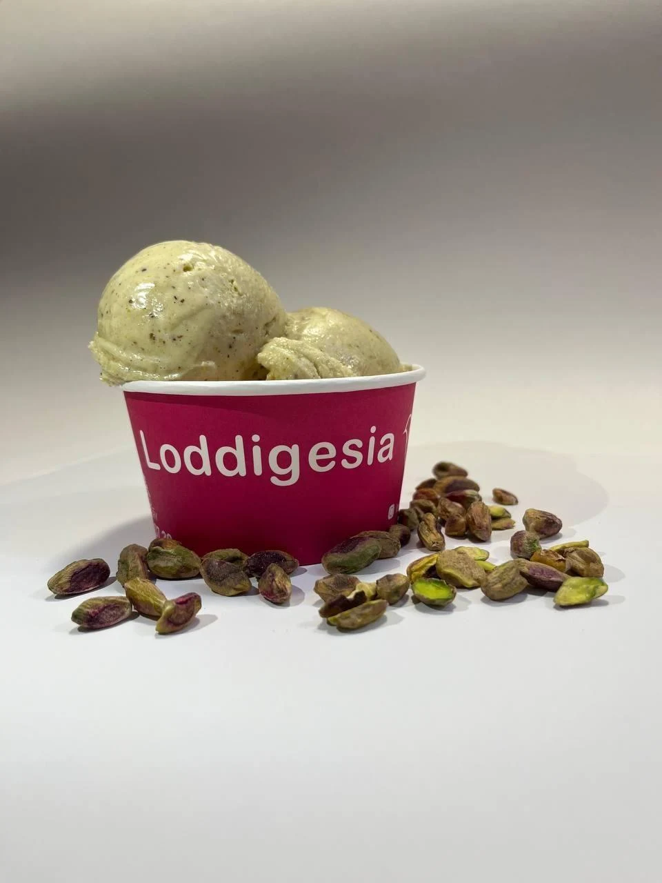 Loddigesia لادیگیزیا باشگاه اتقلاب - تصویر 5