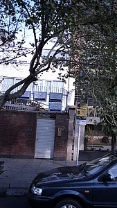 دکتر اثنا عشری