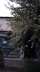 لوازم یدکی فرشاد عیاسیان