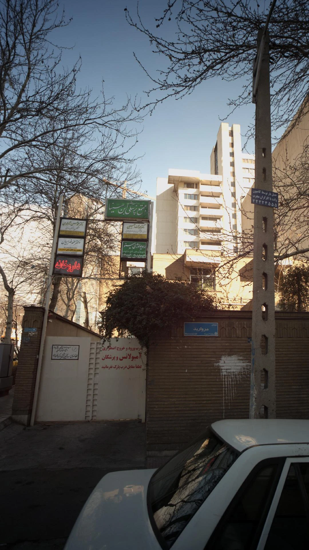 دکتر صدیقه خراسانی راد - تصویر 2