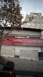 تک اسپرت بیات