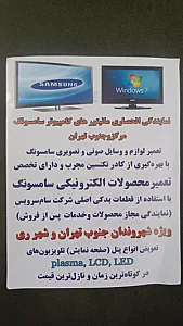 شوک سیستم