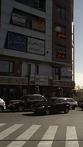 دکتر ایرج شیر آلیلو