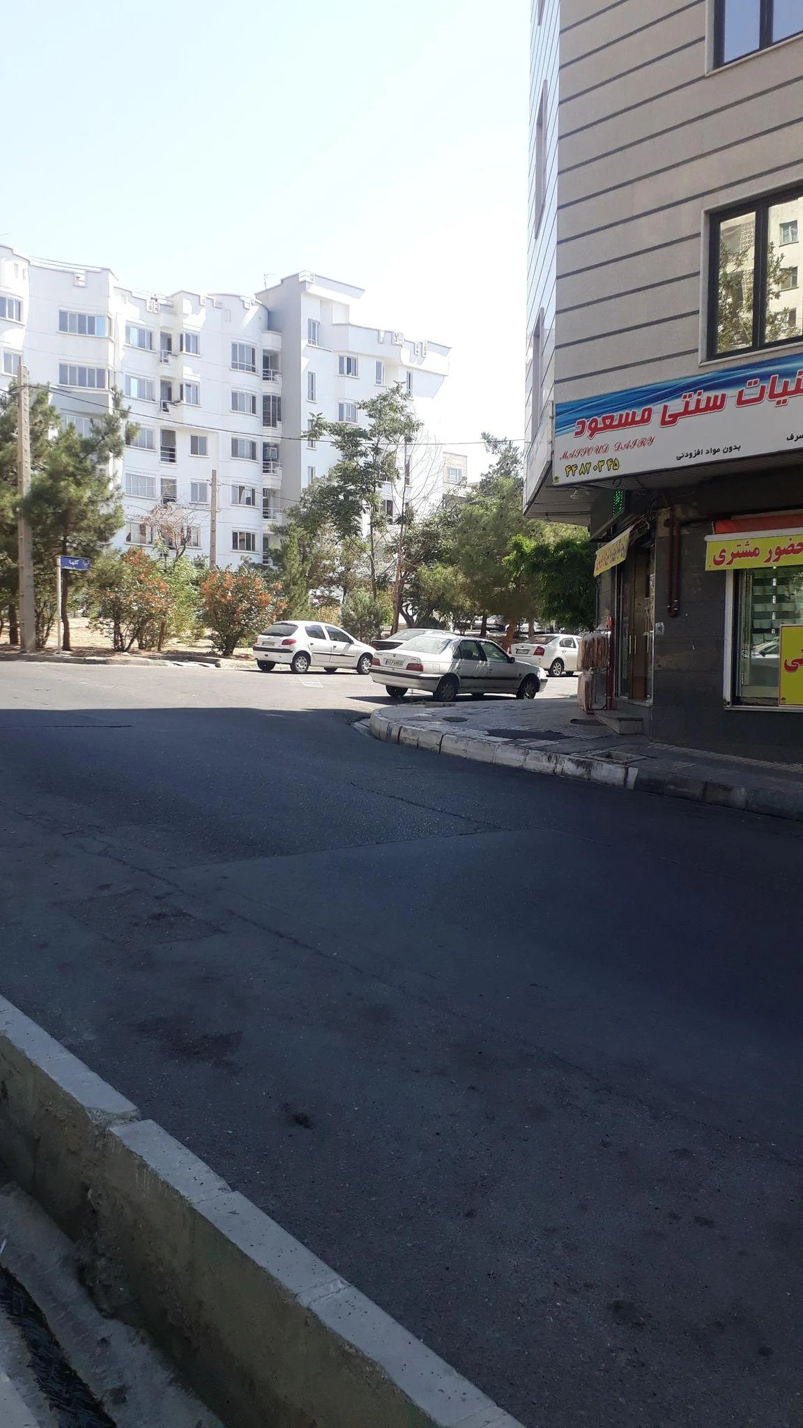 لبنیات سنتی مهدی - لبنیاتی در تهران - تصویر 3