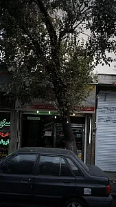 کبابسرای میلاد