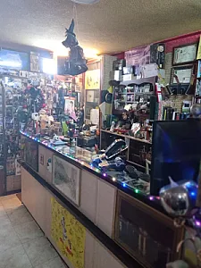 گالری عکس تصویر