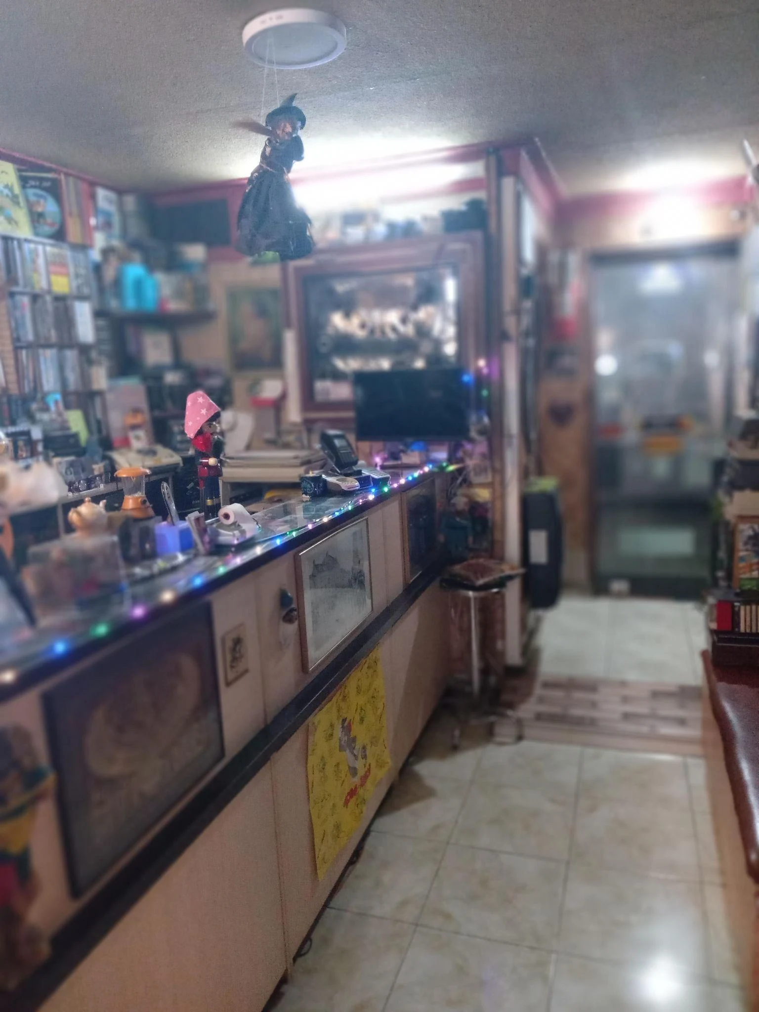 گالری عکس تصویر - تصویر 2