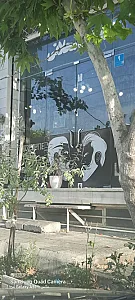   پیرایش جوانان