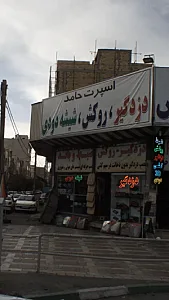 اسپرت حامد