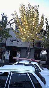 آتلیه عکس و لابراتوار حرفه ای نور و تصویر