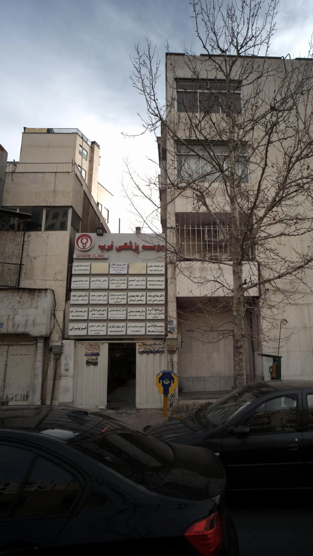 دکتر فاطمه آذرمه  - تصویر 2