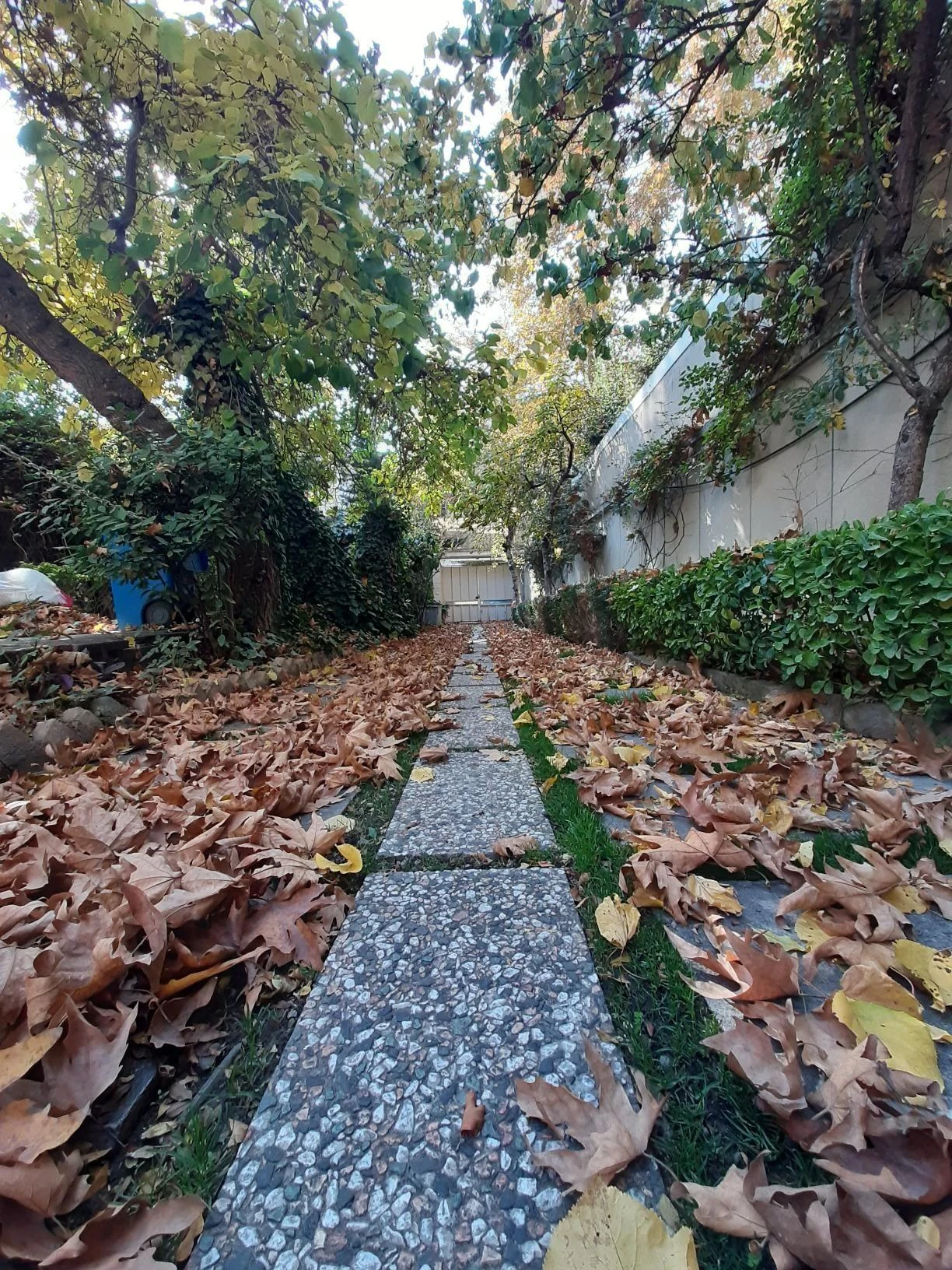 موسسه فرهنگی هنری کارنامه - مدرسه در تهران - تصویر 3